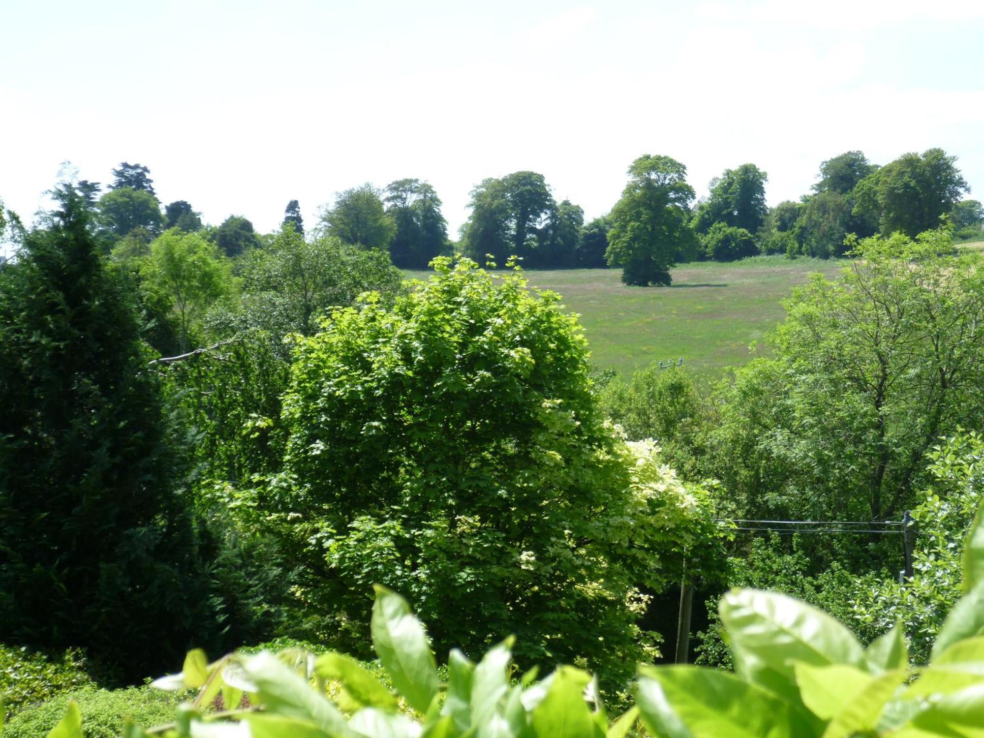 Diamond Hill Country House Waterford Eksteriør billede