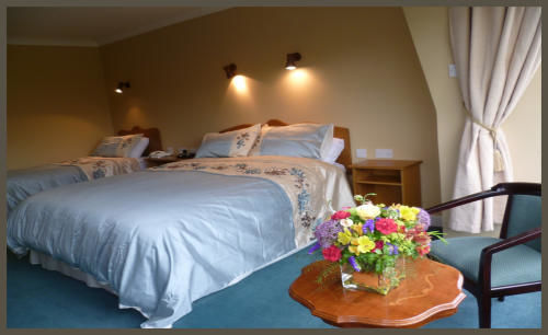 Diamond Hill Country House Waterford Eksteriør billede