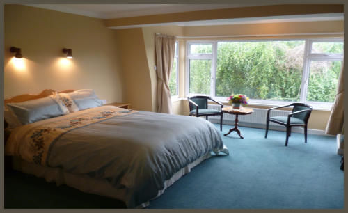 Diamond Hill Country House Waterford Eksteriør billede